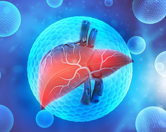 gastro-und-hepato